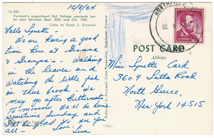1960s Fall Foliage in Manchester Vermont Vintage Postcard, back.