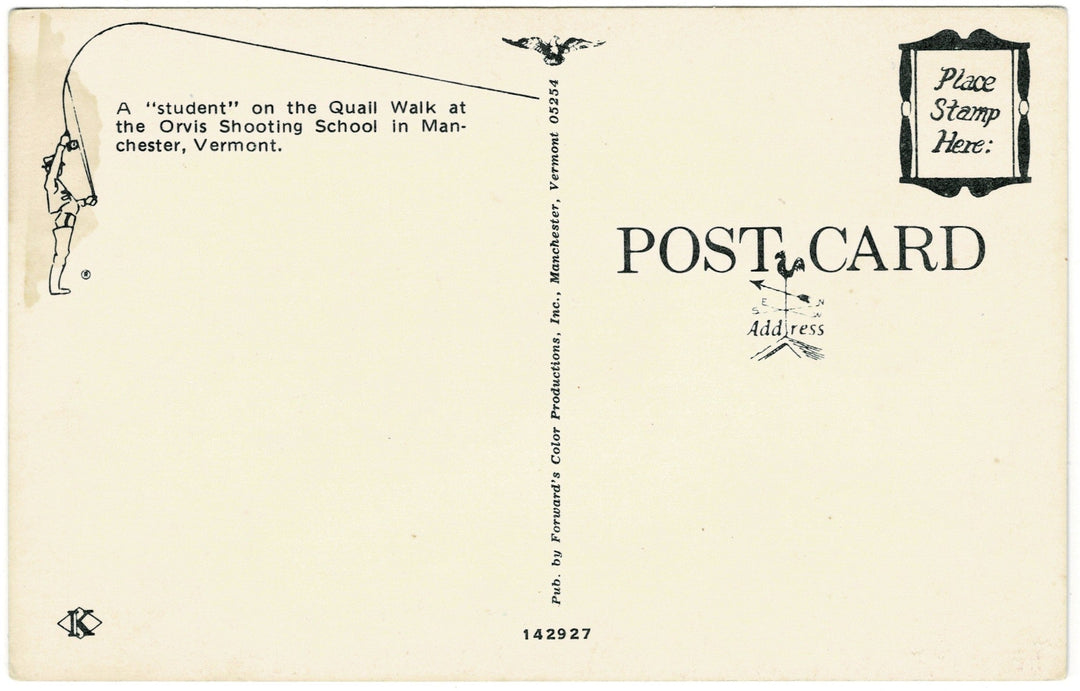 Vintage Postcard, back.