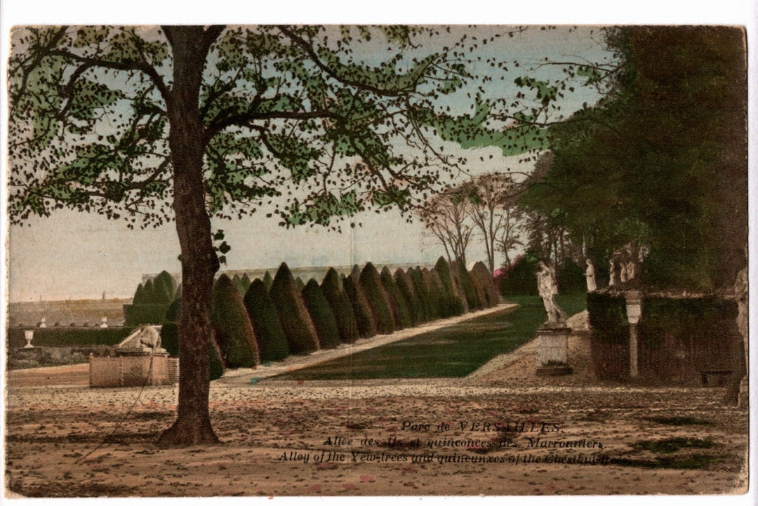 1904 Versailles Park Alley of the Yew Trees France Vintage Postcard.