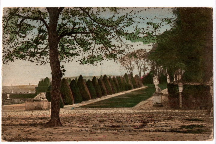 1904 Versailles Park Alley of the Yew Trees France Vintage Postcard.