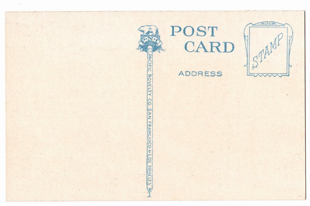 1910 McKinley Park View Tacoma Washington Vintage Postcard