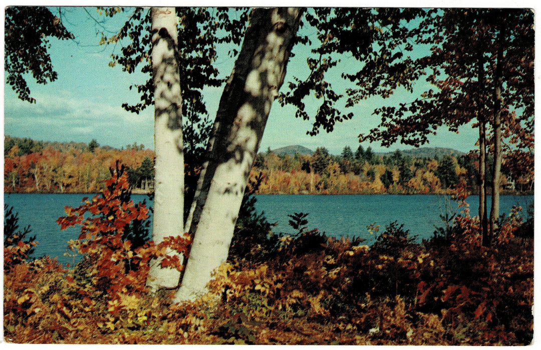 Vintage postcard.