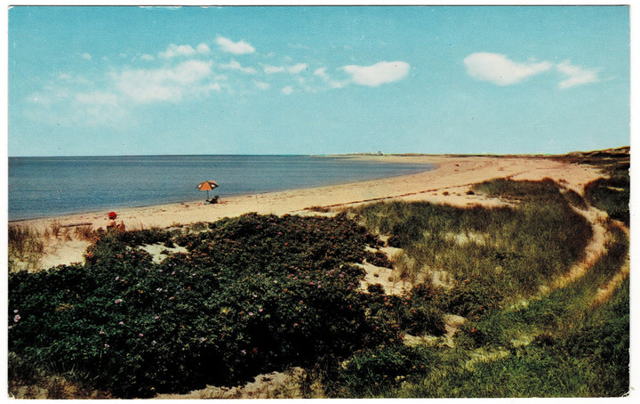 Vintage postcard.