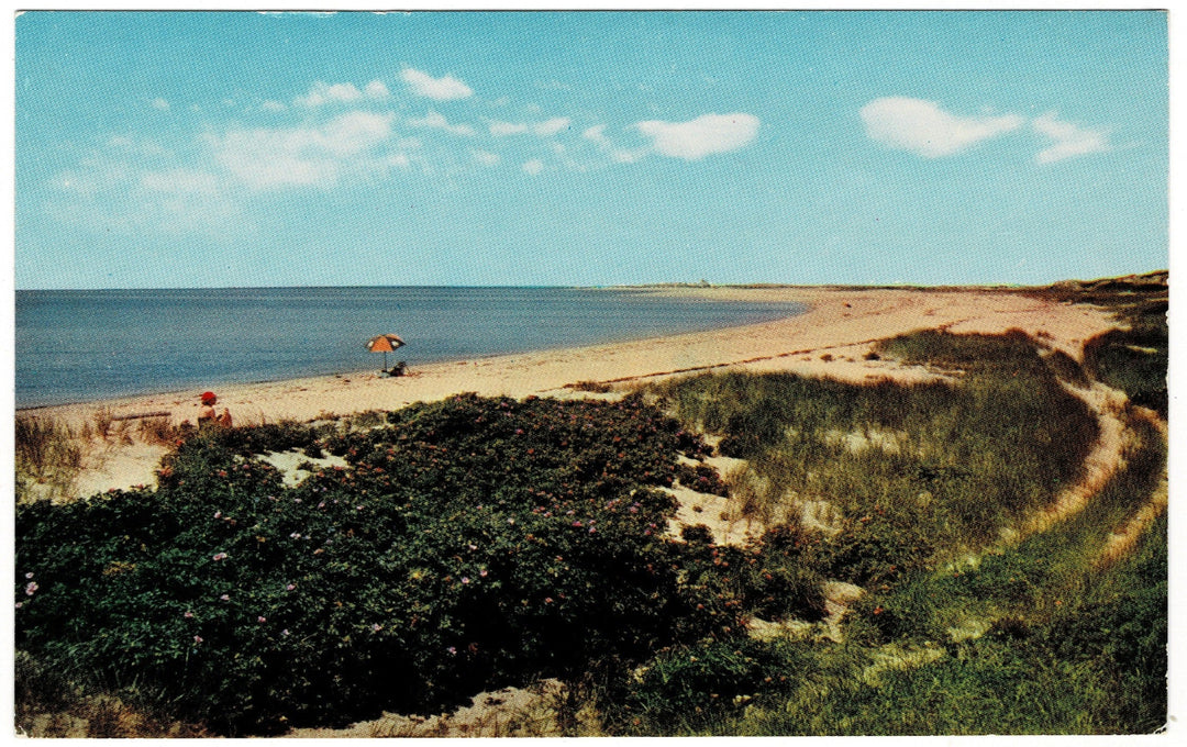 1950s Cape Cod Beach Scene Massachusetts Vintage Postcard.