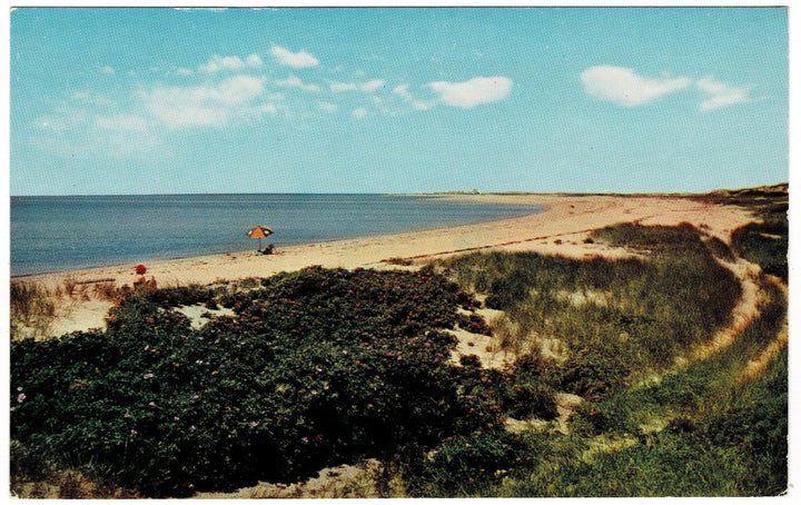 1950s Cape Cod Beach Scene Massachusetts Vintage Postcard.