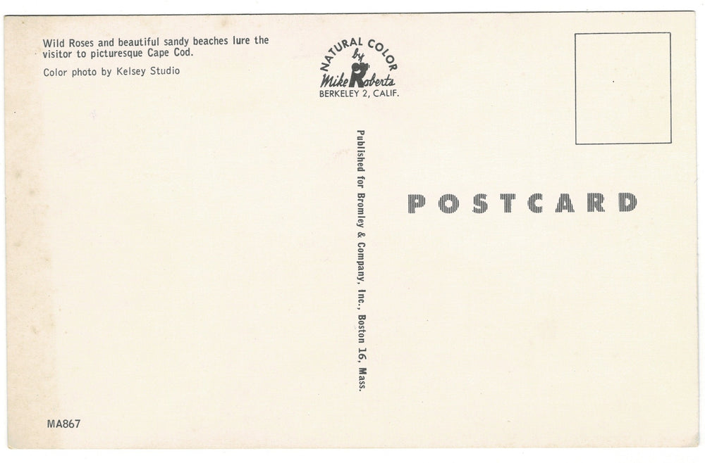 Vintage postcard.