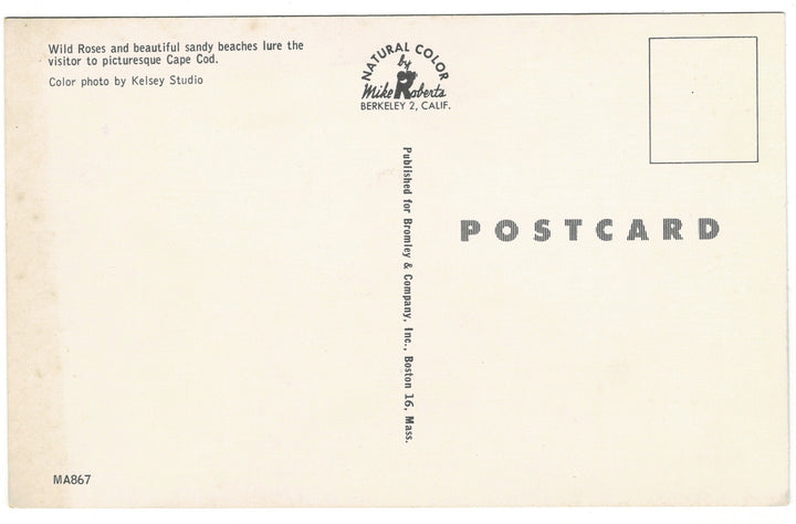 Vintage postcard.