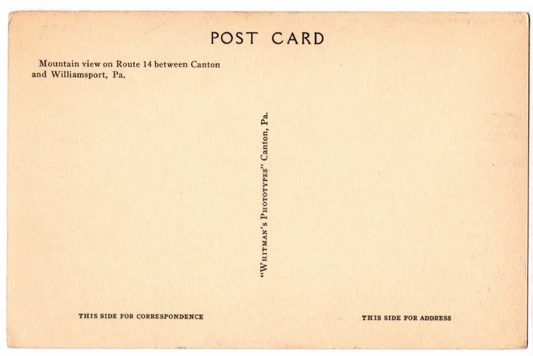 1930s Mountain View Pennsylvania Vintage Postcard, Between Canton and Williamsport,