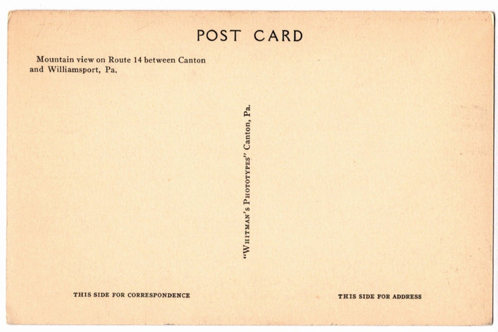 1930s Mountain View Pennsylvania Vintage Postcard, Between Canton and Williamsport,