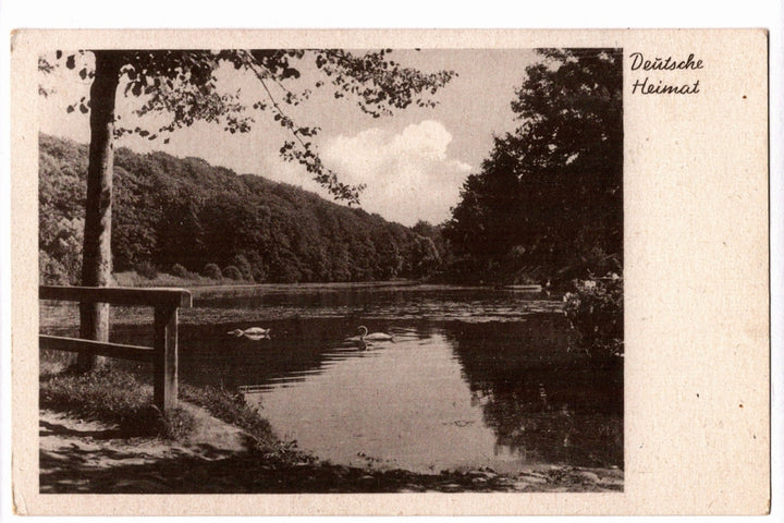 1939 German Homeland Swan Lake Scenic Vintage Postcard.