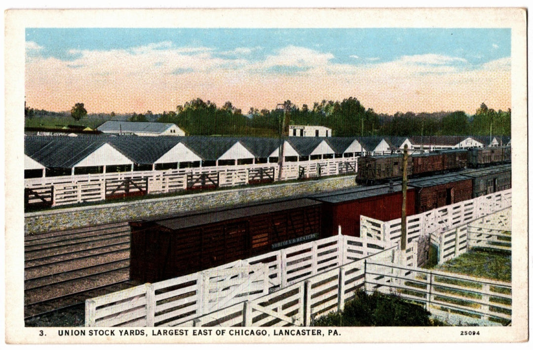 1911 Union Stock Yards Lancaster Pennsylvania PA Vintage Postcard.