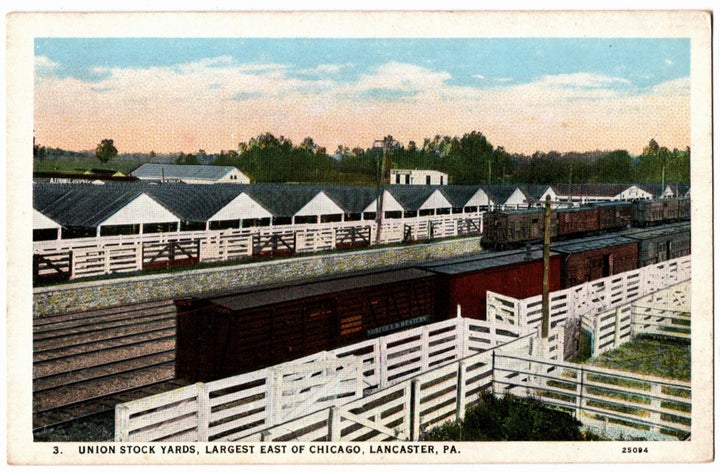 1911 Union Stock Yards Lancaster Pennsylvania PA Vintage Postcard.