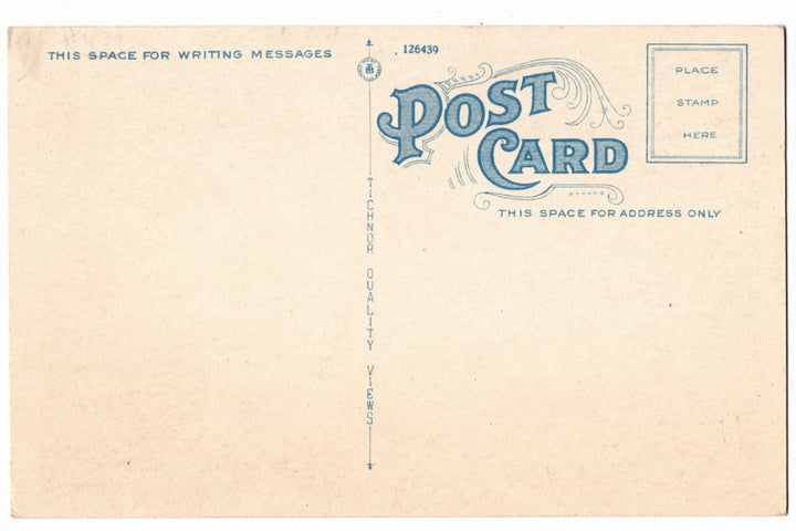 1928 Woodward Pennsylvania Vintage Postcard, Cave Shepherd and Lost Sheep