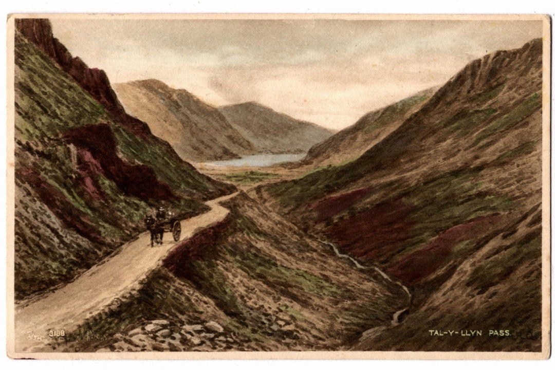1915 Tal-Y-Llyn Pass Wales Scenic Landscape Vintage Art Postcard.