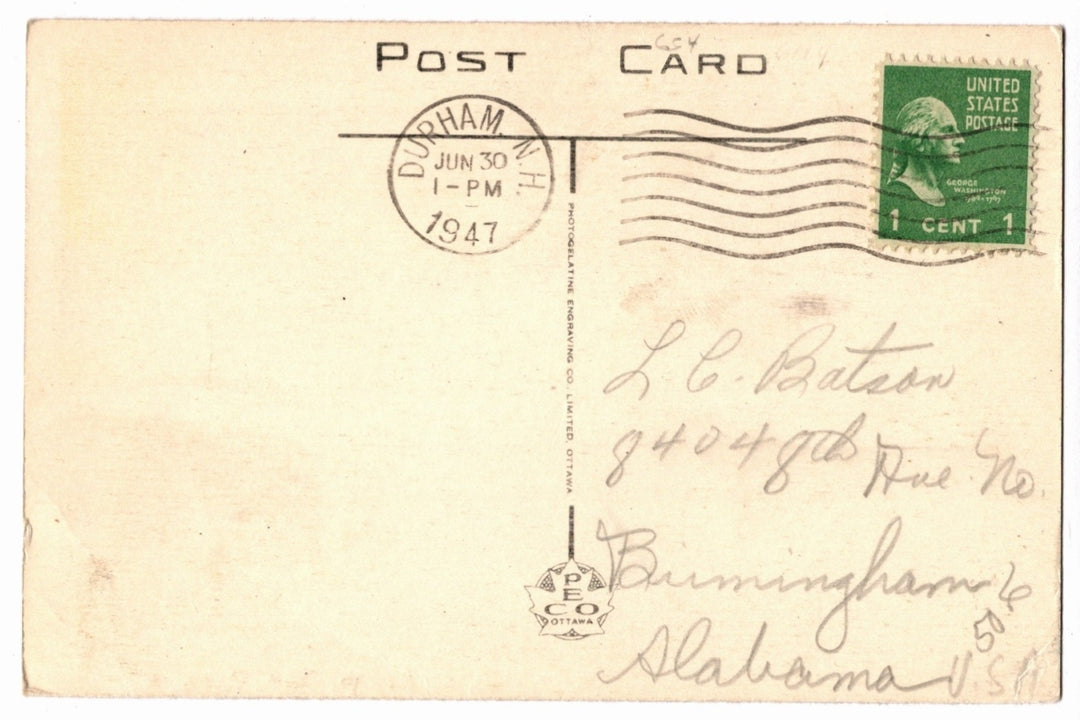 1925 Collecting Sap for Maple Sugar Blind River Ontario Canada Vintage Postcard
