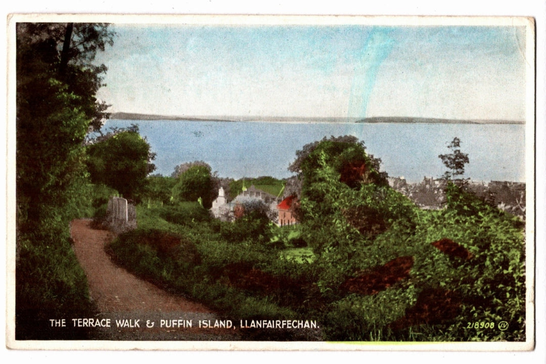  1930 Terrace Walk, Puffin Island Wales Vintage Postcard,