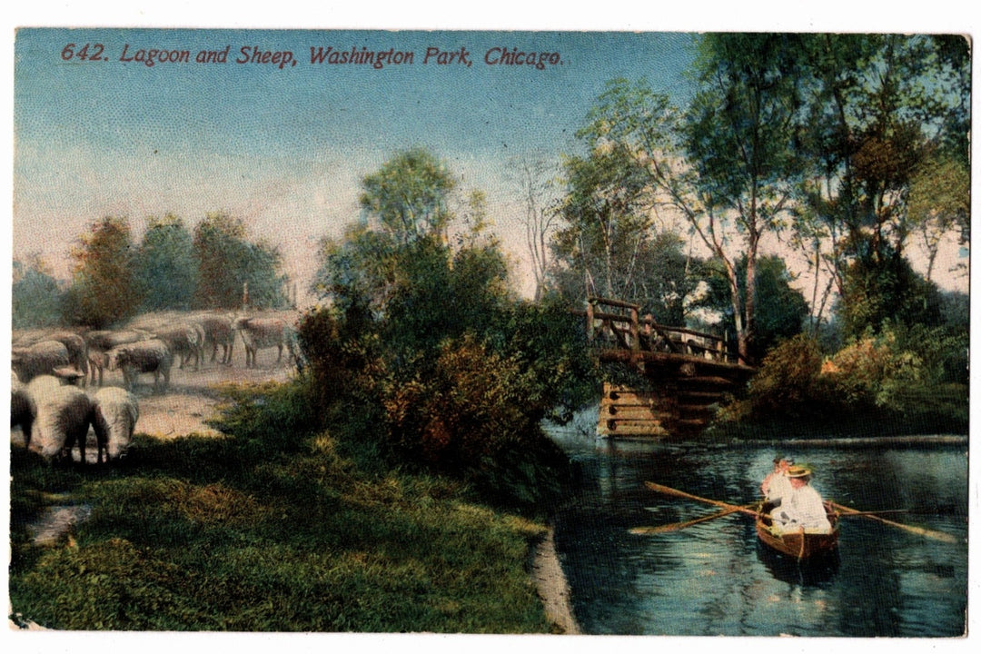 1912 Lagoon and Sheep in Washington Park, Chicago Vintage Postcard.