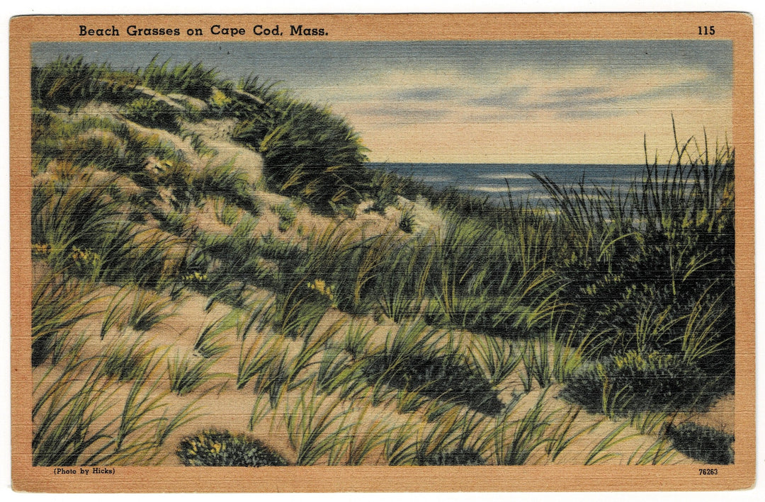 Vintage postcard.