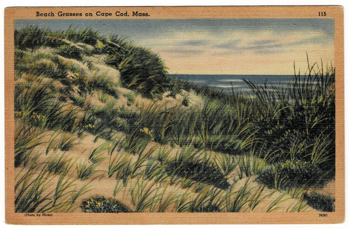 Vintage postcard.