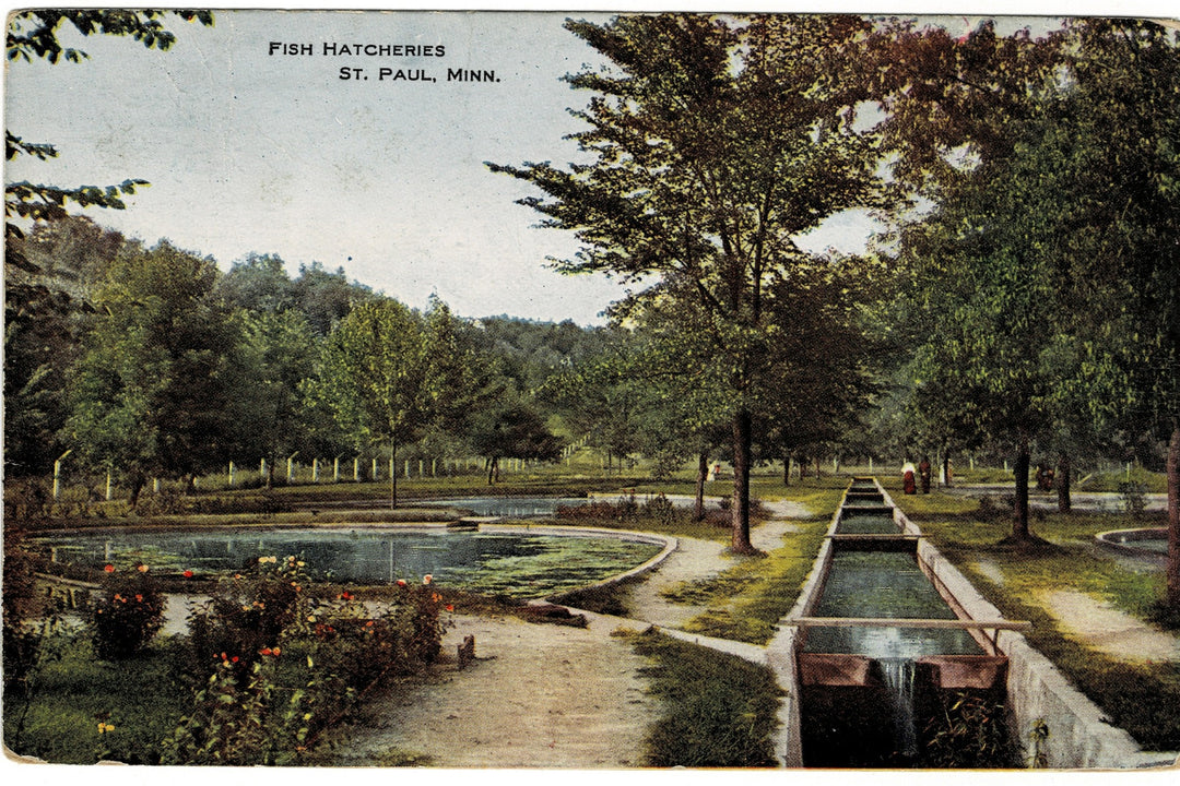 Vintage postcard.