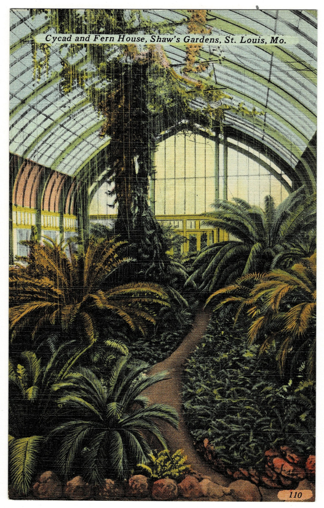 Vintage postcard.