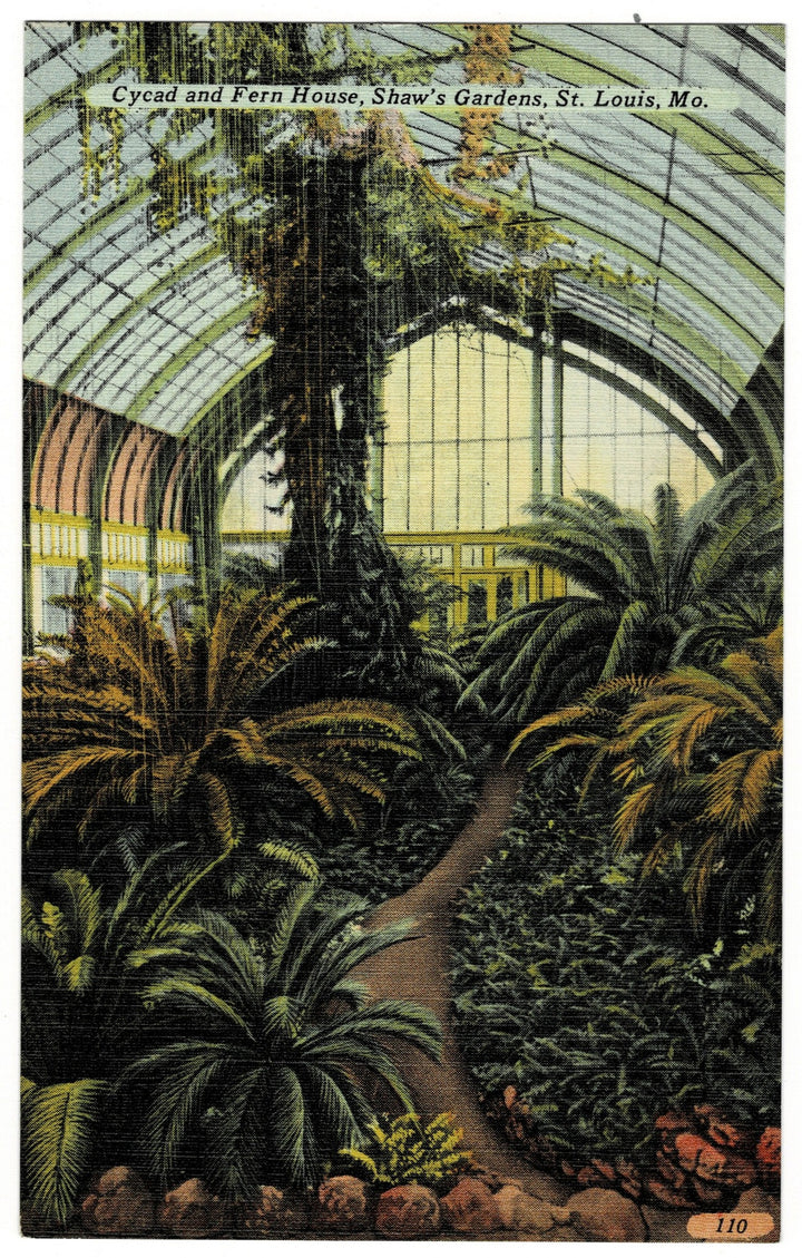 Vintage postcard.