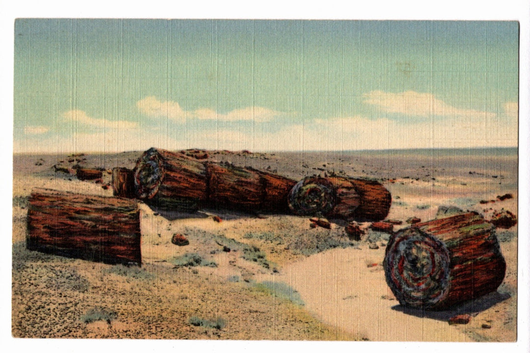  1939 Petrified Forest National Park Arizona View Vintage Postcard.