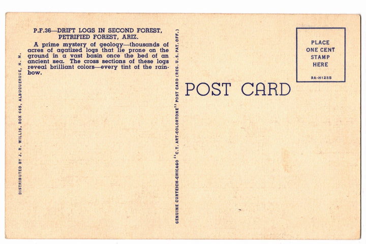 1939 Petrified Forest National Park Arizona View Vintage Postcard