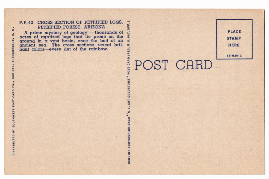 1941 Petrified Forest Logs National Park Arizona Vintage Postcard