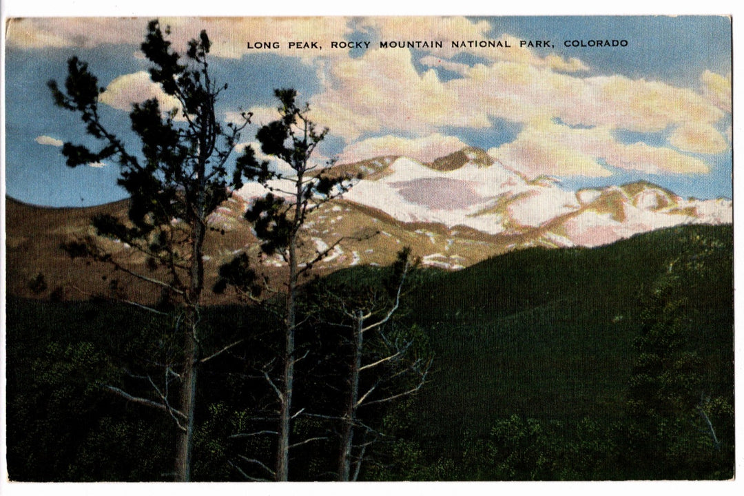 Vintage postcard of Long Peak in Rocky Mountain National Park, Colorado with trees and mountains.
