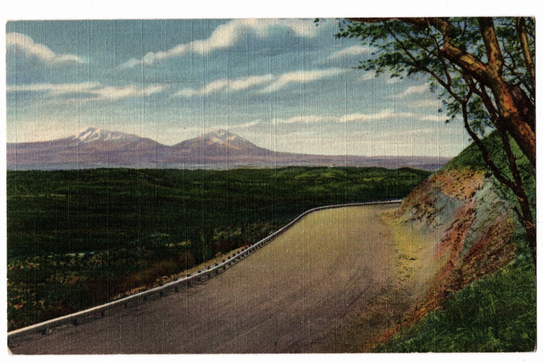 Scenic road with mountains in the background - 1939 Spanish Peaks Colorado Vintage Postcard.