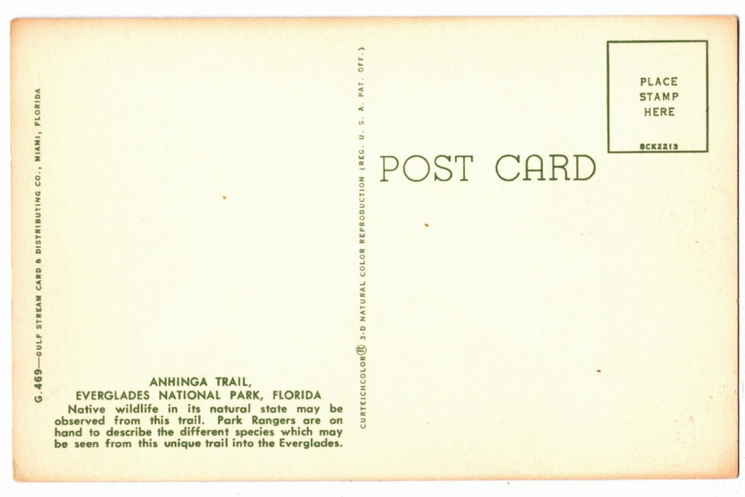 1958 Anhinga Trail Everglades National Park Florida Vintage Postcard
