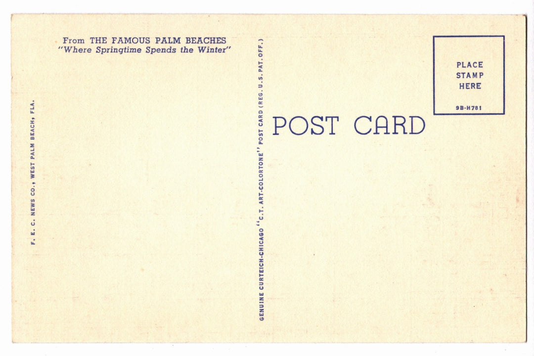 1949 Palm Beaches Florida Vintage Postcard, Sailfish Derby
