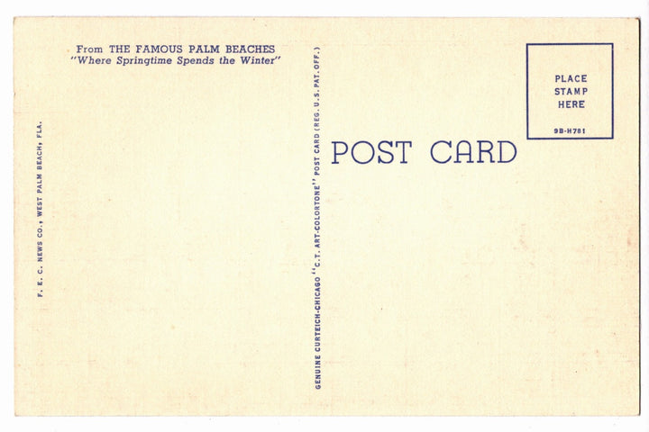 1949 Palm Beaches Florida Vintage Postcard, Sailfish Derby