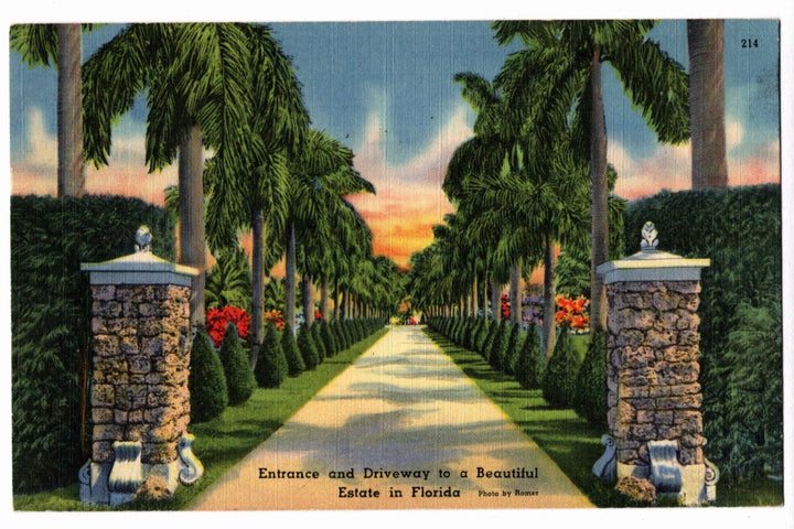 Vintage postcard of a palm tree-lined driveway leading to a beautiful estate in Florida.