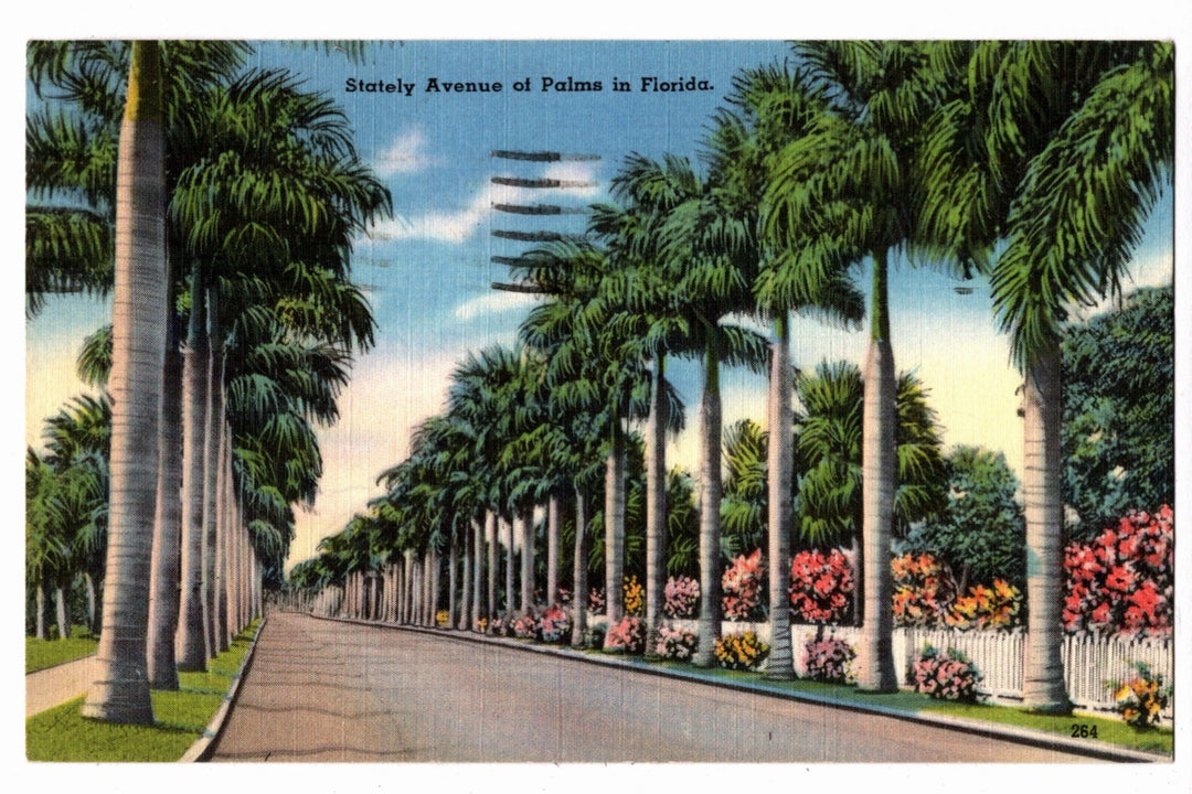  1941 McGregor Boulevard Fort Myers Florida Vintage Postcard