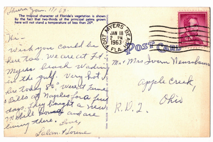 1940 Fort Myers Florida Vintage Postcard, McGregor Boulevard