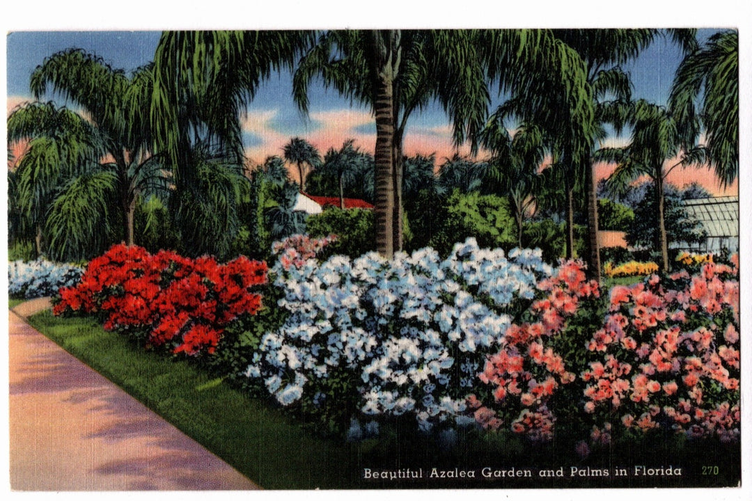 1941 Azalea Garden and Palms in Florida Vintage Postcard.