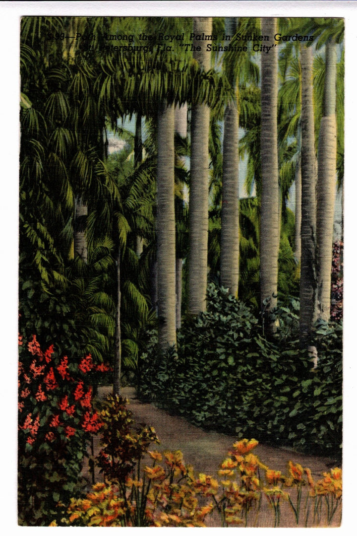 Sunken Gardens St Petersburg Florida Vintage Postcard.
