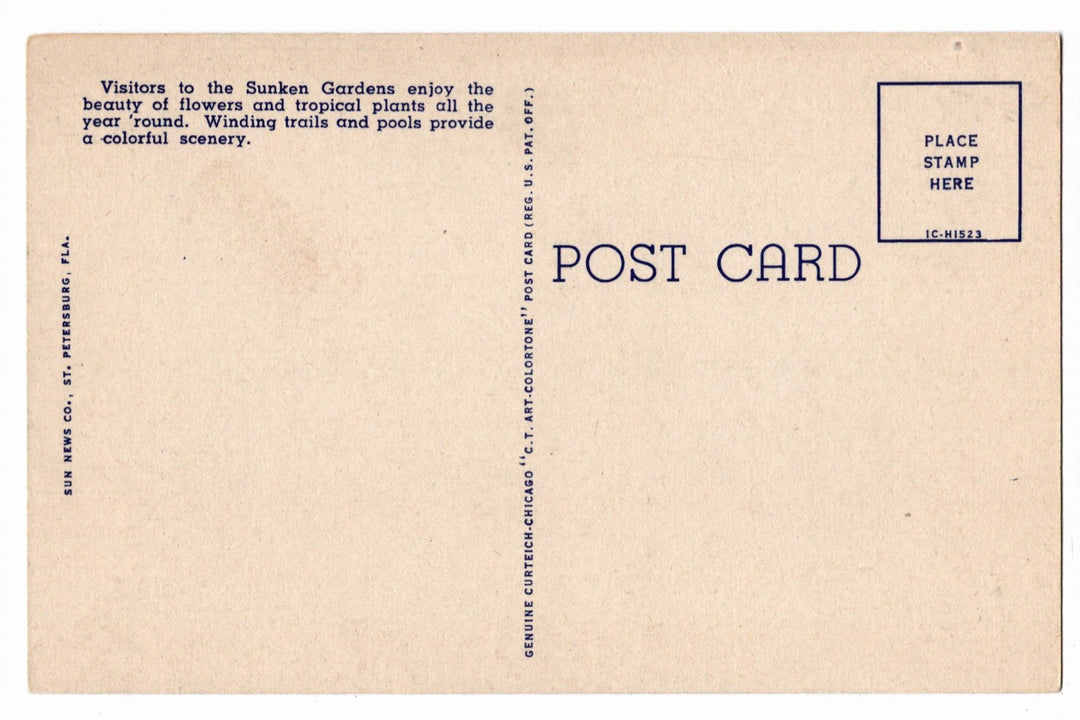 1951 Sunken Gardens St Petersburg Florida Vintage Postcard
