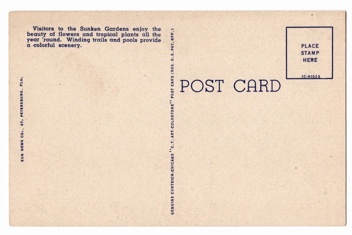 1951 Sunken Gardens St Petersburg Florida Vintage Postcard