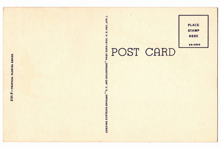1946 Florida's "Big Bill" Pelican Vintage Postcard