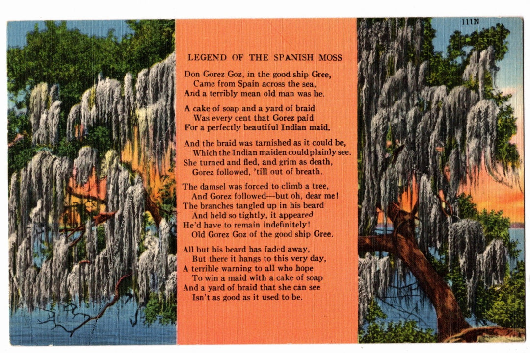 1941 Poem of Legend of the Spanish Moss Vintage Postcard.