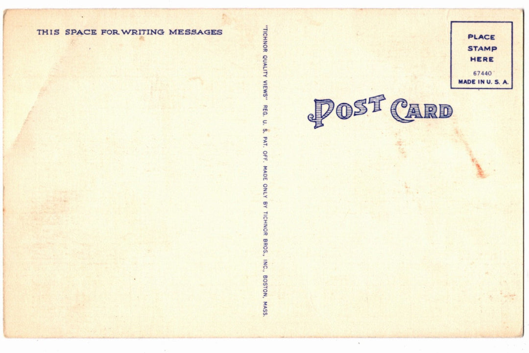 1941 Poem of Legend of the Spanish Moss Vintage Florida Postcard