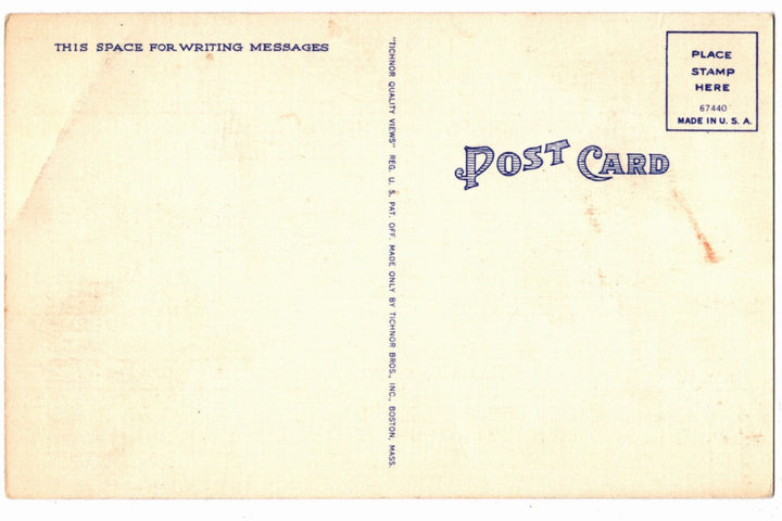 1941 Poem of Legend of the Spanish Moss Vintage Florida Postcard