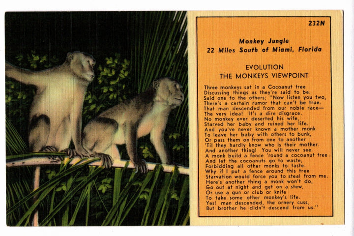 1940s Monkey Jungle Poem Miami Florida Vintage Postcard.