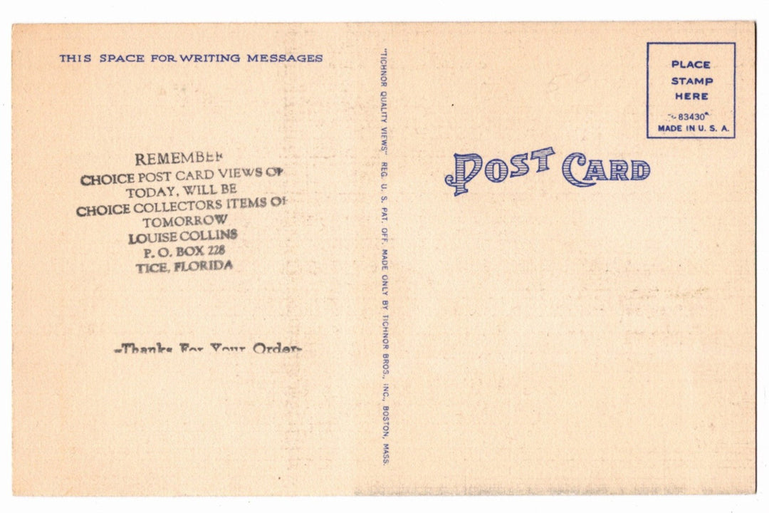 1940s Monkey Jungle Poem Miami Florida Vintage Postcard