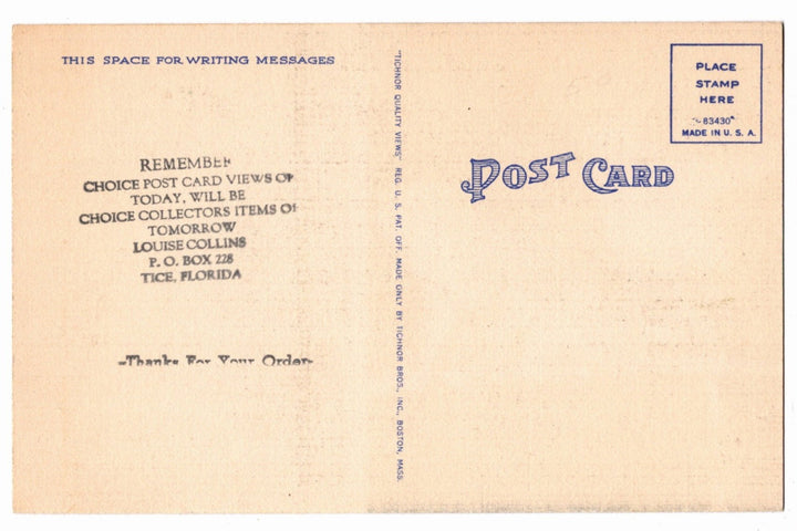1940s Monkey Jungle Poem Miami Florida Vintage Postcard
