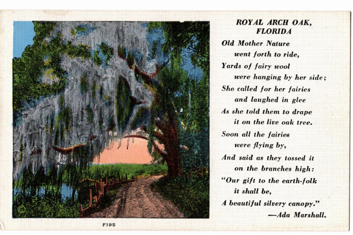 1922 Poem of The Royal Arch Oak Ormond Beach Florida Vintage Postcard.