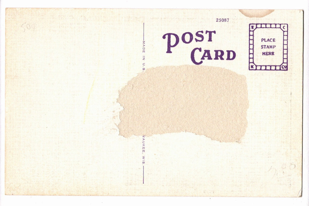 1922 Poem of The Royal Arch Oak Ormond Beach Florida Vintage Postcard